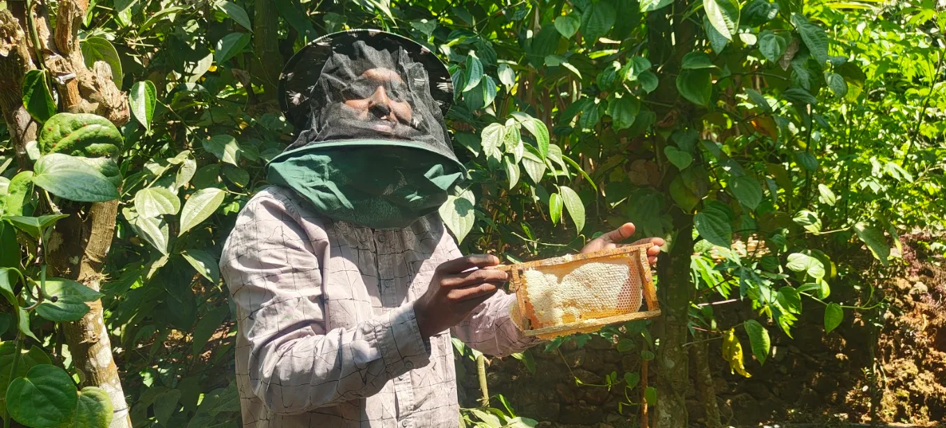 Beekeeper in a veil holding a honeycomb frame