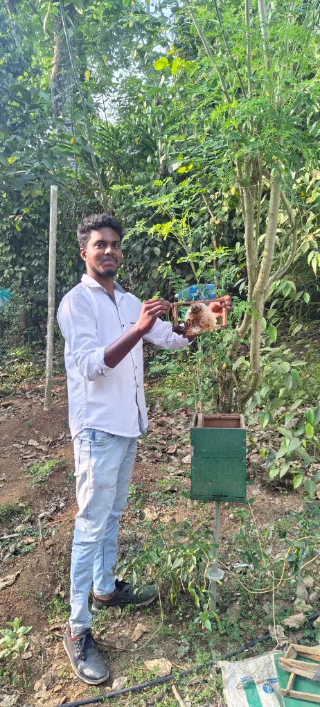 Beekeeper holding a comb frame near a hive box